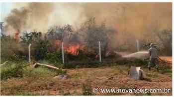 Bombeiros de Ivinhema combatem incêndio em área florestal - Nova News - novanews.com.br