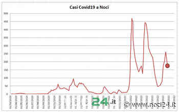 Covid19 a Noci: 172 positivi alla data del 27 luglio 2022 - NOCI24.it