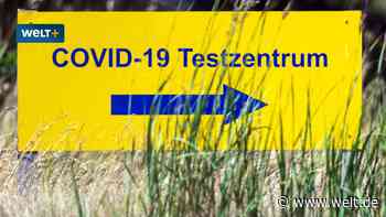 Lauterbach Milliarden-Sparplan bei Corona-Tests: „Ich glaube Ihnen“, sagt der Mitarbeiter beim Corona-Testzentrum - WELT