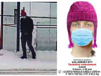 Laval police seek suspect, witnesses after attempted abduction - Montreal Gazette