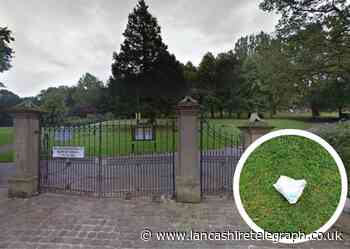Dirty nappy littered in Accrington park disgusts locals