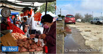 Opiniones divididas causa cambio de ubicación de ferias libres en Valdivia por trabajos del Serviu - BioBioChile