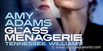 Save Up To 41% on THE GLASS MENAGERIE Starring Amy Adams - Broadway World