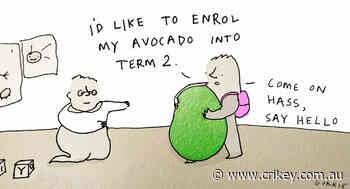 How to beat inflation: eat avocados, buy men's clothing and use childcare. If it were only that simple - Crikey