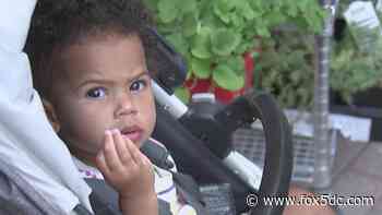 Study: Childcare in DC costs 85% more than national average - FOX 5 DC