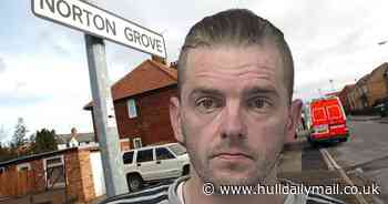 Hull criminal sped wrong way down A63 before crashing into garden - Hull Live