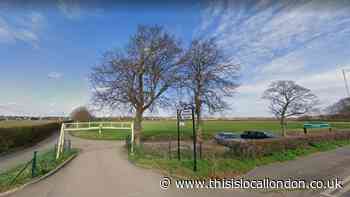 Hainault festival to go ahead despite noise and crime fears