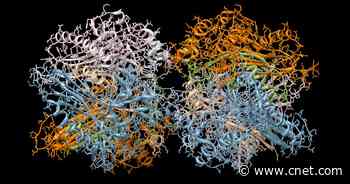 Why Google's DeepMind AI Prediction of 200 Million Protein Structures Matters     - CNET
