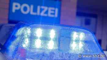 Polizei bittet um Hinweise: Einbrecher rauben Pizza-Lieferdienst in Elmshorn aus - shz.de