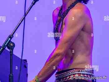 FESTIVAL EPINAL BOUGE L'ETÉ – TANKUS THE HENGE Épinal Épinal - Unidivers