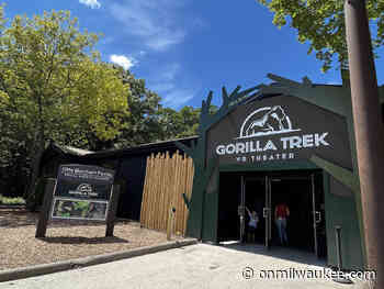 New Zoo virtual reality experience puts you nose to nose with gorillas - OnMilwaukee.com