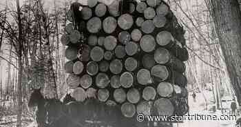 How lumberjacks harnessed an 'ocean of pine' to build Minnesota