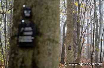 Waldfriedhof Ebern - Arbeitsgruppe hat ihre Mitglieder - Neue Presse Coburg