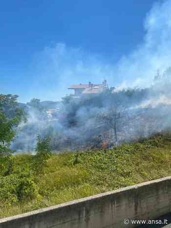 In fiamme 2.500 mq sterpaglie e arbusti tra case a Fabriano - Marche - Agenzia ANSA