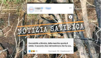 La notizia del ritrovamento di un coccodrillo in provincia di Brindisi è satira - Facta