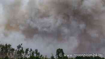 Waldbrände wüten in der Sächsischen Schweiz: Kretschmer reist ins betroffene Gebiet – „Wird Wochen dauern“