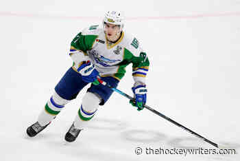 Maple Leafs News & Rumors: Amirov, Hildeby & Jersey Numbers - The Hockey Writers