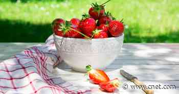 6 Foods to Keep You Hydrated During a Heat Wave     - CNET