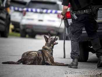 City police K9 unit tracks down fleeing suspect for second time in three days