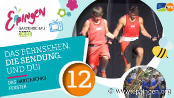 ▷ Gartenschaufenster: Folge 12 - Eppingen.org