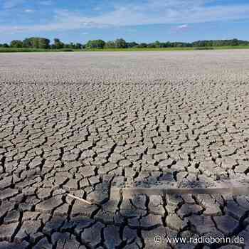 Temperaturen im Juli 2,3 Grad zu hoch - Radio Bonn / Rhein-Sieg - radiobonn.de