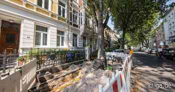 Bonn: Glasfaser-Ausbau in der Südstadt - Schaden an Bäumen möglich? - General-Anzeiger Bonn