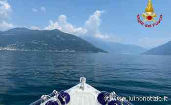 Germignaga, capriolo in mezzo al lago: i vigili del fuoco gli salvano la vita - Luino Notizie