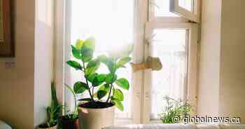 ‘Reach out to your neighbours’: Saskatoon EMO warns about hot weather