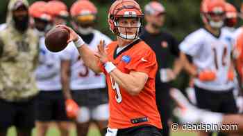 Get your torches and pitchforks ready, it’s time for Bengals slander - Deadspin