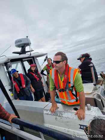 Nelson's first marine reserves ranger heads to Indonesia to upskill - RNZ