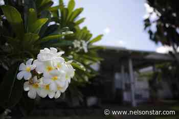 Hawaii pair accused of conspiracy, taking IDs of dead babies - Nelson Star