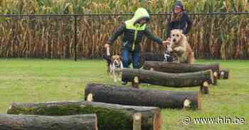 Meise telt drie hondenlosloopweiden en zet nog verder in op een propere en fijne gemeente voor viervoeters en hun omgeving - Het Laatste Nieuws