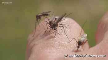 Colorado's first human West Nile Virus case of 2022 detected
