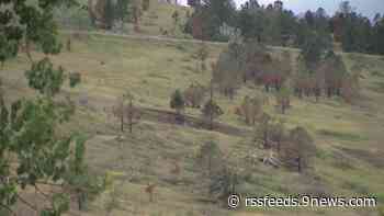 Burn scar traits that lead to high flood threat