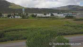 Colorado prisons are so short-staffed, teachers and case workers are working as guards