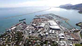 Greenpeace activists target Talley's trawler at Port Nelson - Stuff