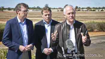 Social work expert welcomes move to abolish cashless card - Kalgoorlie Miner