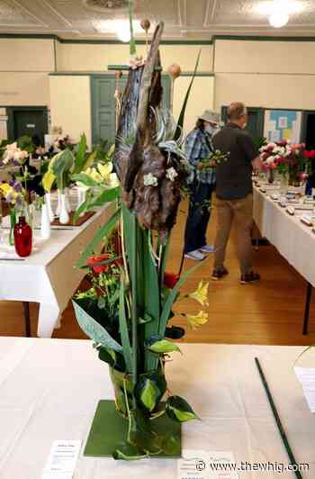 Gananoque Horticultural Society holds first in-person show since 2019 - The Kingston Whig-Standard