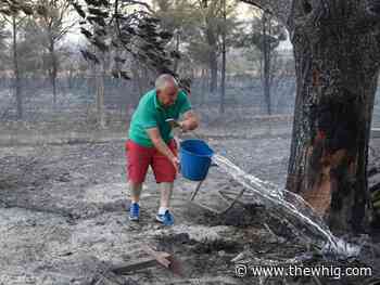 'Zoe' becomes world's first heatwave with a name - The Kingston Whig-Standard