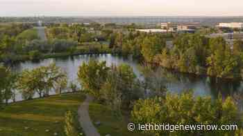 New disc golf course open for play at University of Lethbridge - Lethbridge News Now