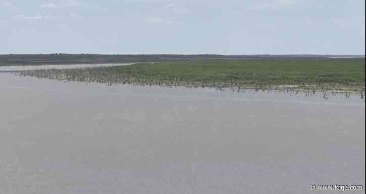 'Dire situation': Drought threatens Texas border county's lone water supply