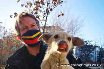 Foreign Office 'regrets' confusion over Nowzad evacuation - Ealing Times