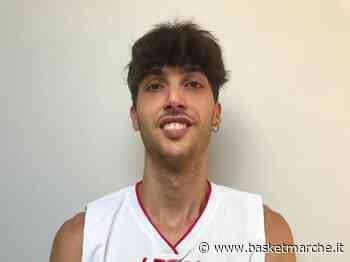 Rumors, il Falconara Basket sulle tracce dell'ala Nicola Serrani - Serie C Silver - Basketmarche.it