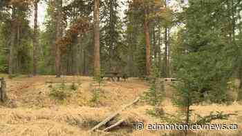 Jasper National Park: 'Extreme' fire danger - CTV News Edmonton
