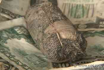 New Jersey couple solve mystery of Depression-era cash buried in yard - UPI News