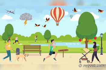 People with a high IQ can solve this brainteaser in less than a minute - New York Post