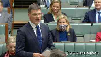 Angus Taylor was asked to stop calling the female Deputy Speaker 'Mr Speaker'. He couldn't - SBS News