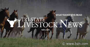 North Dakota Angus Tour, Sept. 17-19; headquarters: Dickinson - Tri-State Livestock News