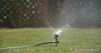 Hamilton Conservation Authority asks residents to lower water use amid dry summer - Global News