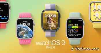 watchOS 9 beta 4 now available to developers, here are its top features